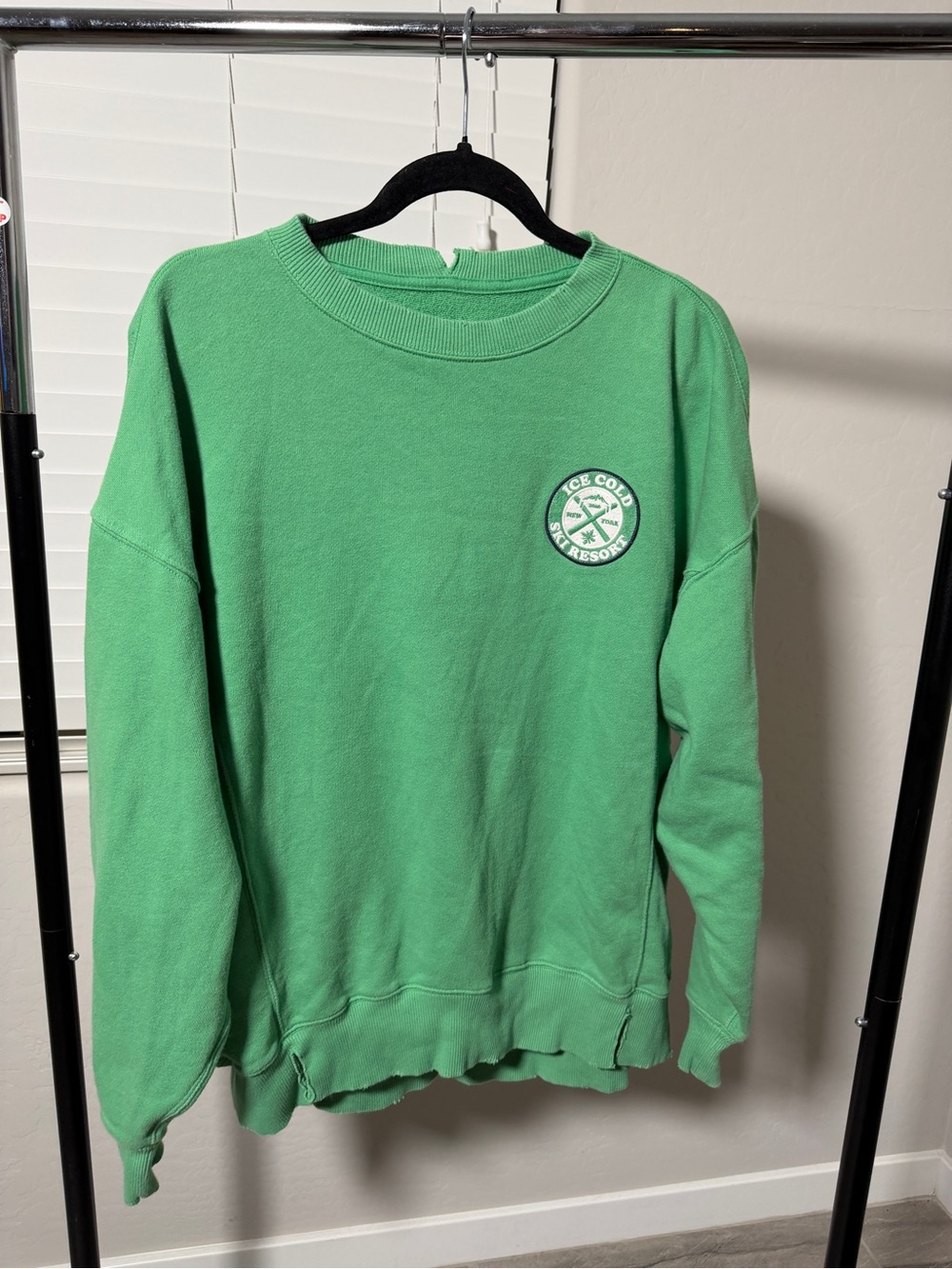 aerie Green Crewneck Sweatshirt with Chest Emblem